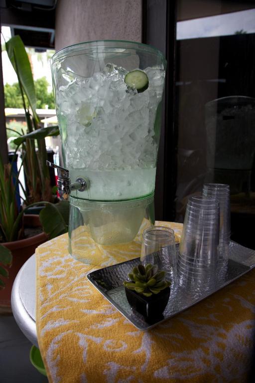 Avanti Hotel ปาล์มสปริงส์ ภายนอก รูปภาพ